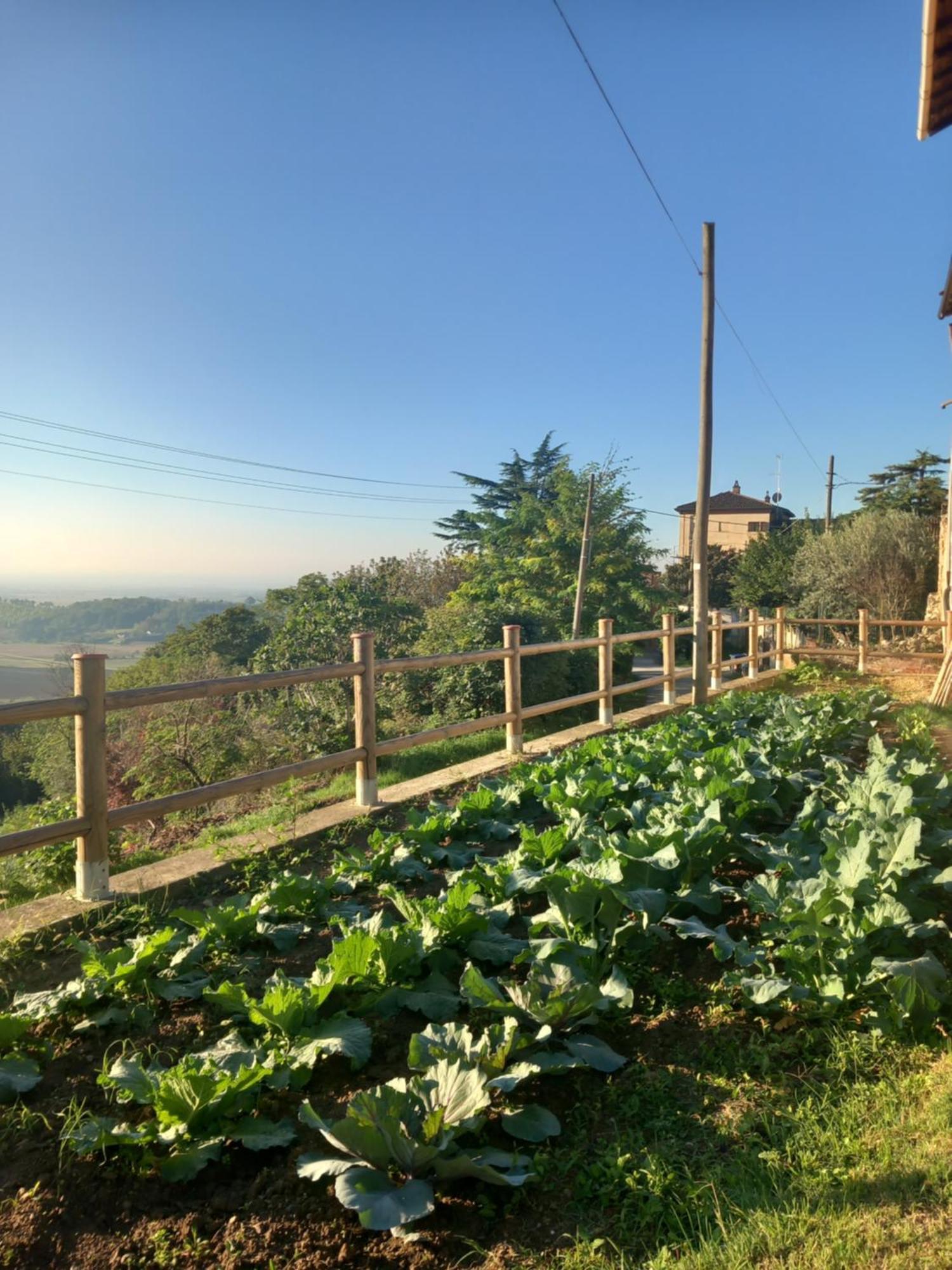 Il Cortile Di Greta Bed & Breakfast Lu (Piedmont) Luaran gambar
